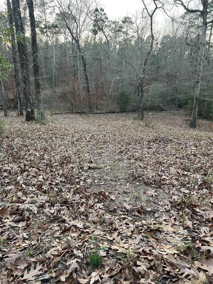 5 acres in Texas County - photo 8
