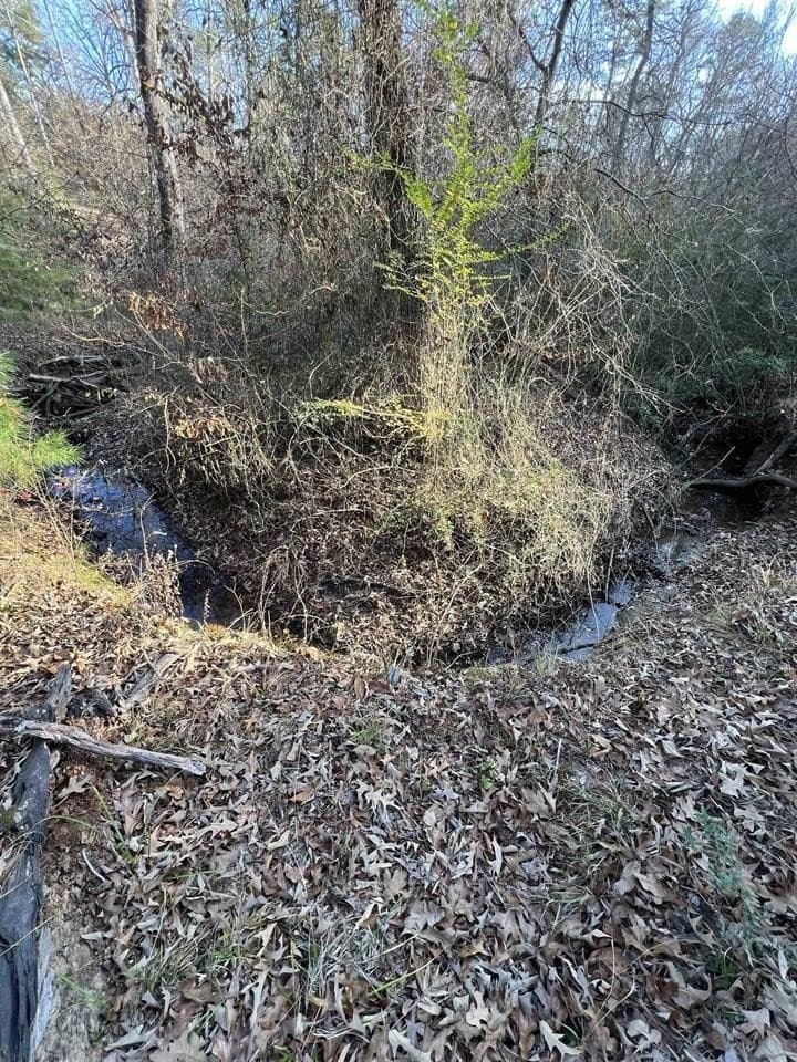 5 acres in Texas County - photo 7