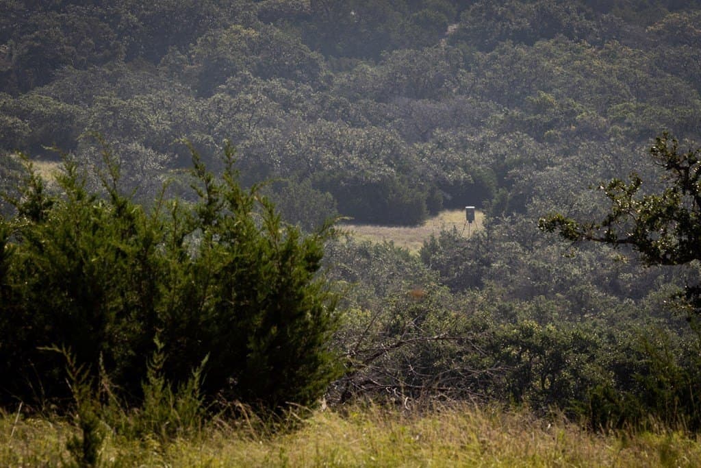 388 acres in Kimble County gallery image 4
