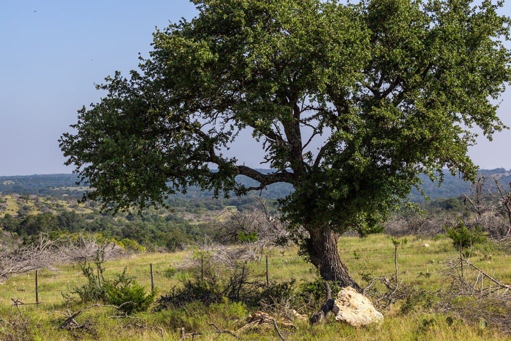 388 acres in Kimble County featured view
