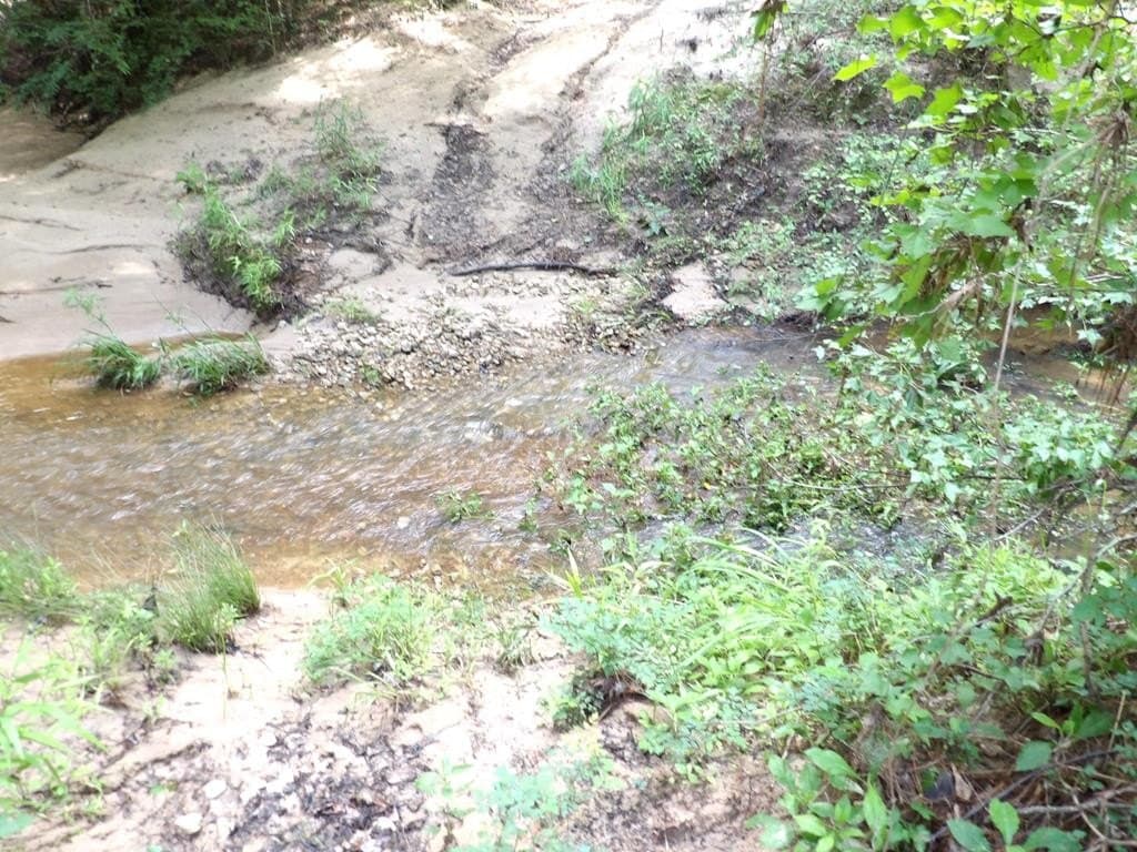 117.6 acres in Texas County