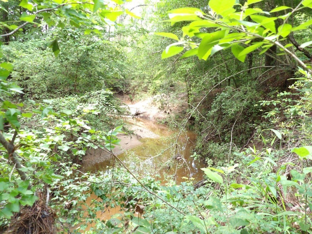 117.6 acres in Texas County gallery image 3