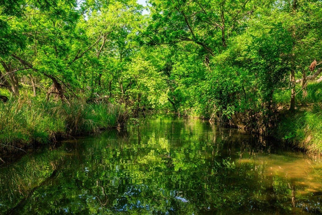 151.37 acres in Gillespie County gallery image 3