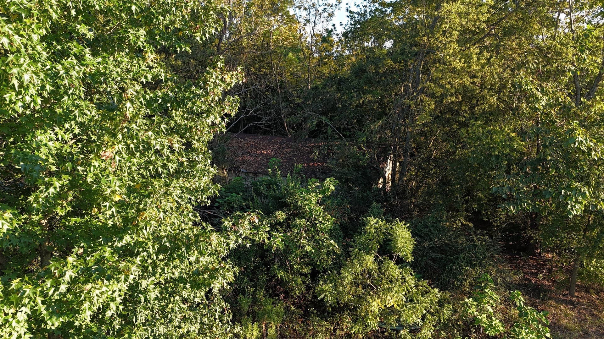 6.66 acres in Wood County gallery image 3