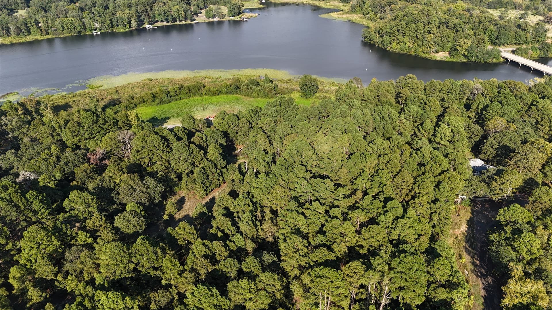 6.66 acres in Wood County gallery image 4