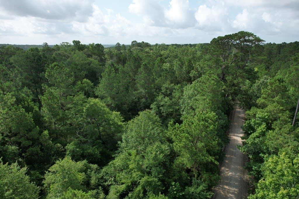 64.33 acres in Texas County - photo 2