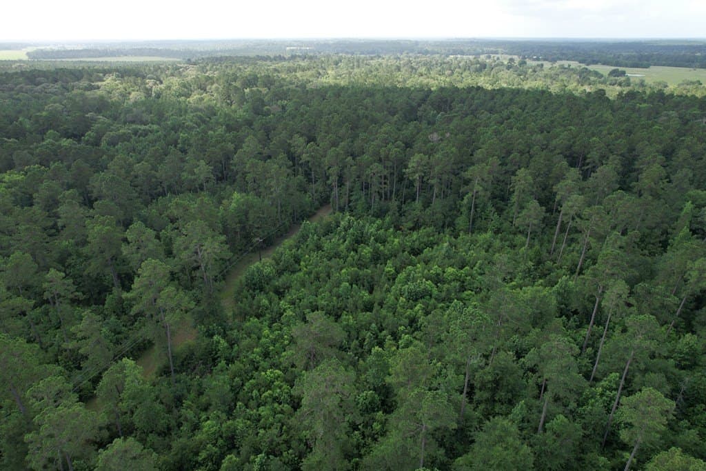 64.33 acres in Texas County - photo 9