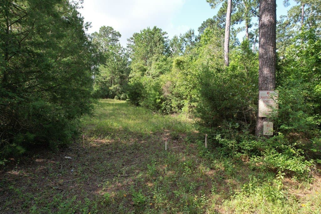 64.33 acres in Texas County - photo 15