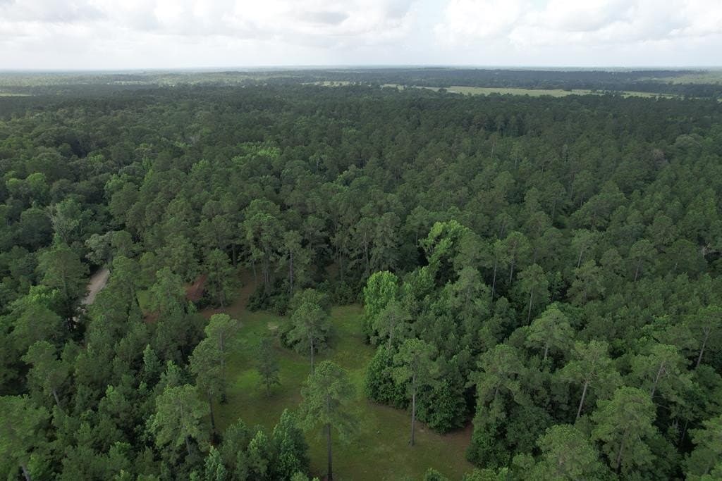 64.33 acres in Texas County