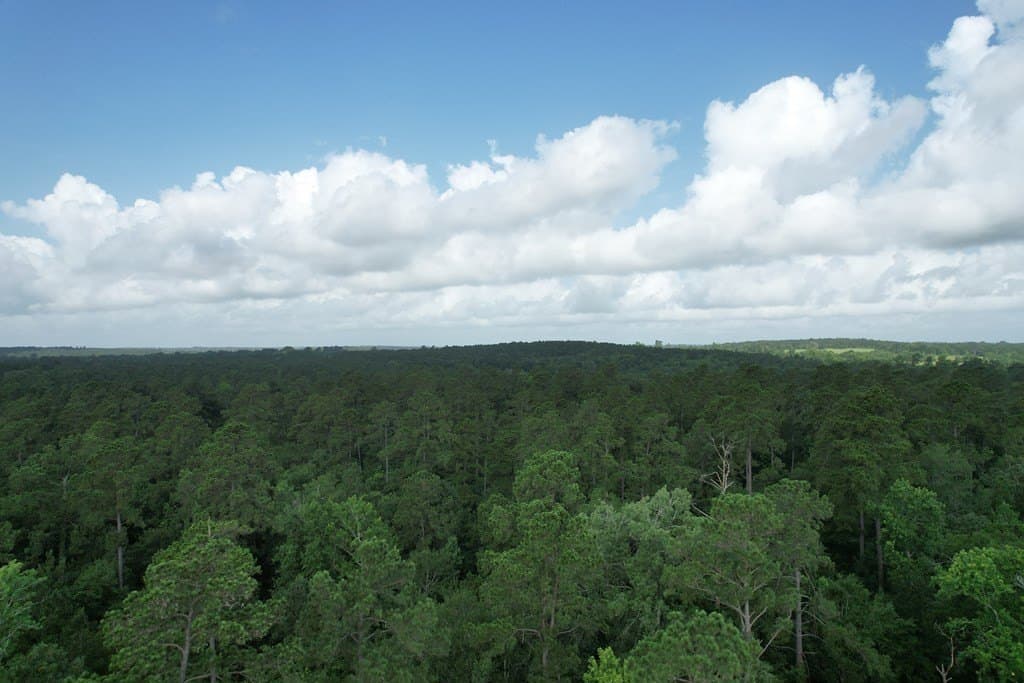 64.33 acres in Texas County - photo 6