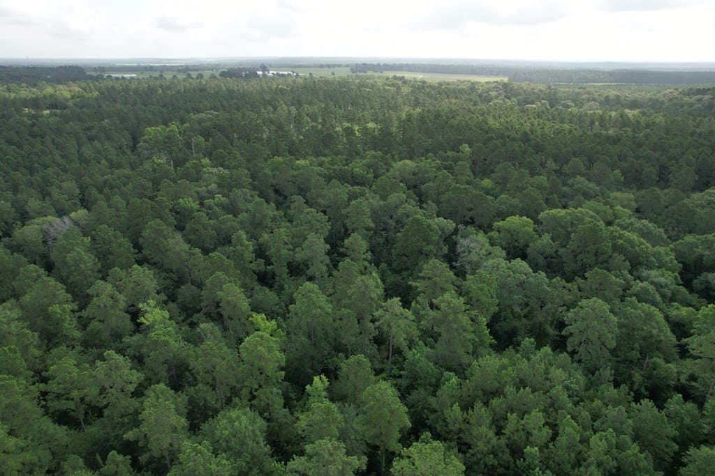 64.33 acres in Texas County - photo 13