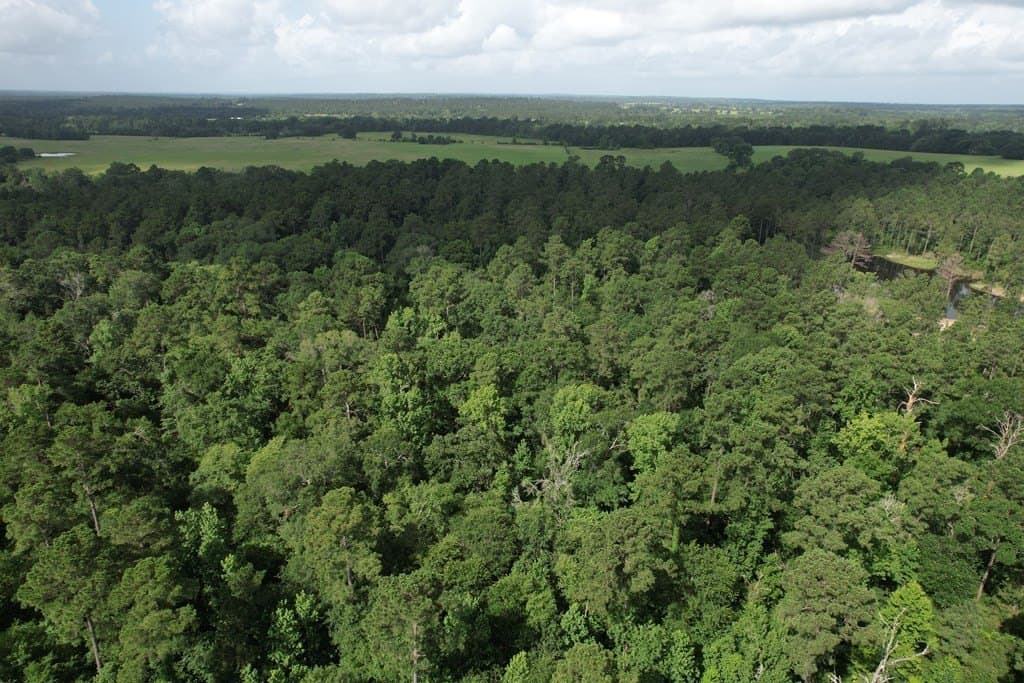 64.33 acres in Texas County - photo 11