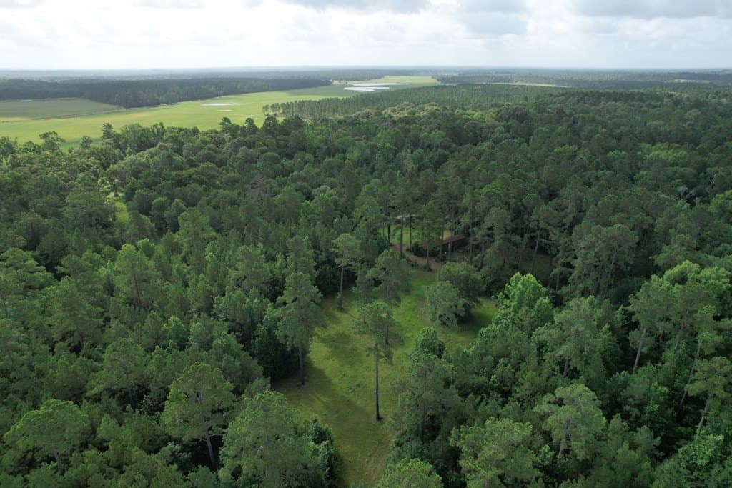 64.33 acres in Texas County - photo 14