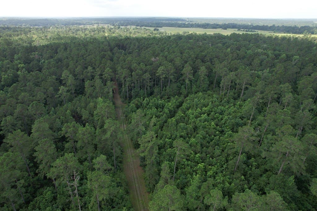 64.33 acres in Texas County - photo 8