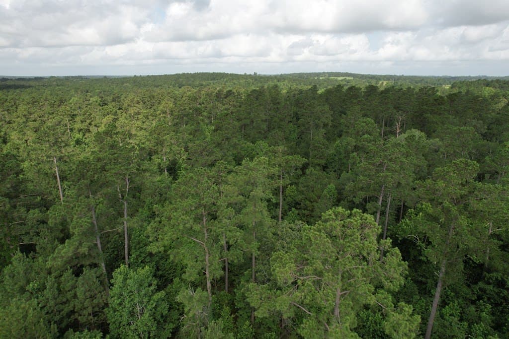 64.33 acres in Texas County - photo 4