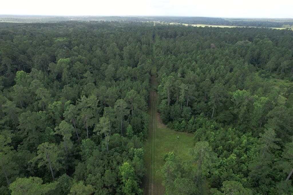 64.33 acres in Texas County - photo 7