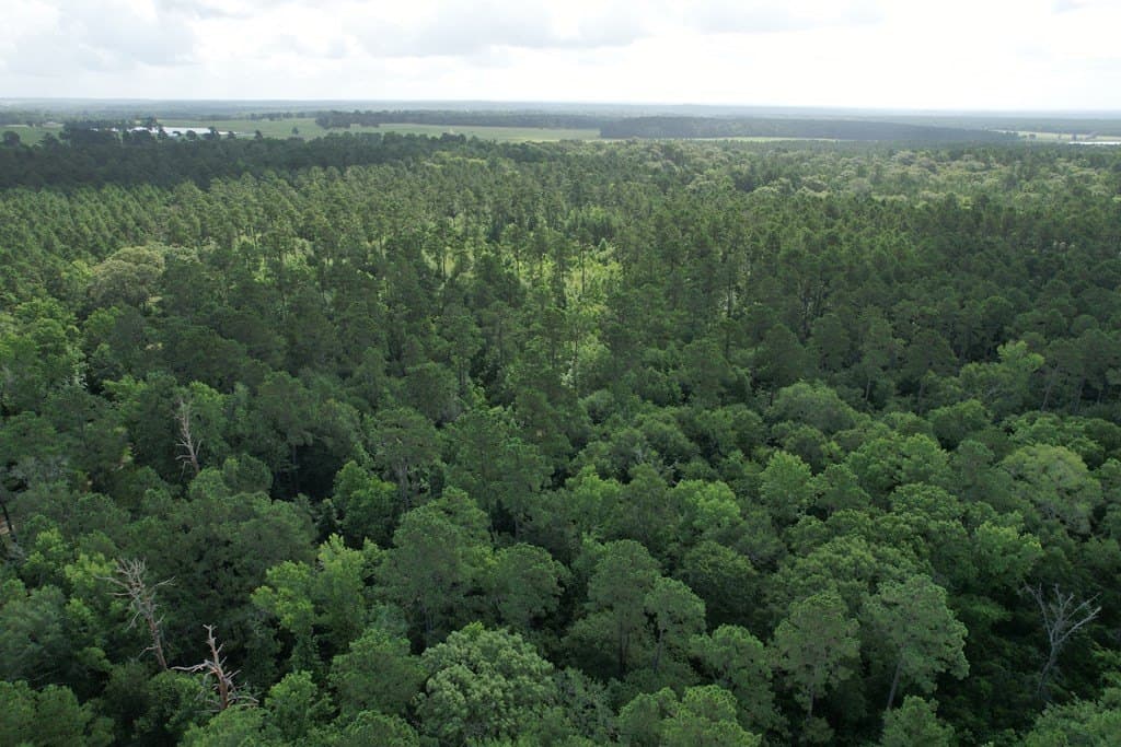 64.33 acres in Texas County - photo 12