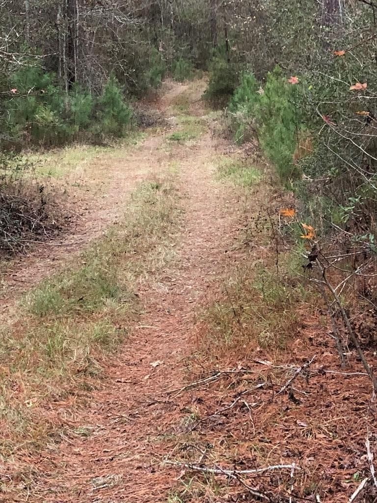 64.33 acres in Texas County - photo 3