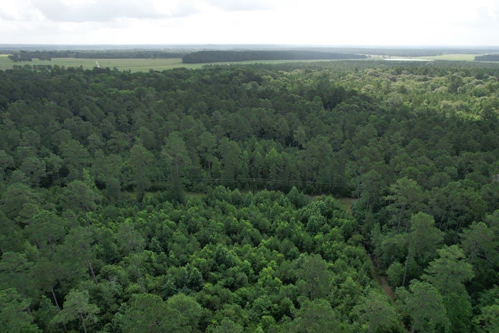 64.33 acres in Texas County - photo 10