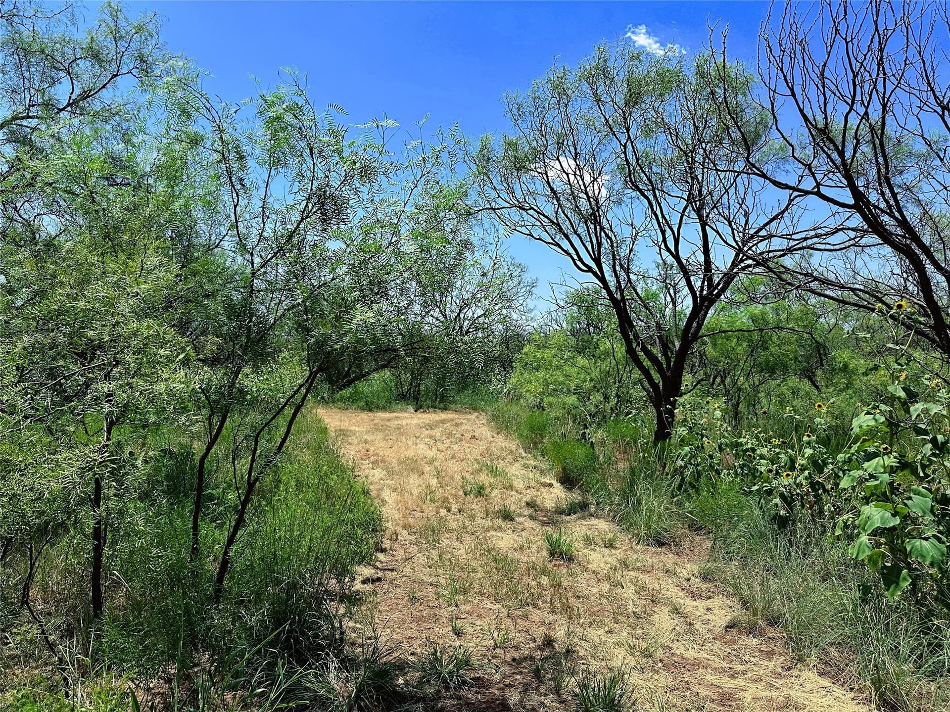19.45 acres in Jones County - photo 2