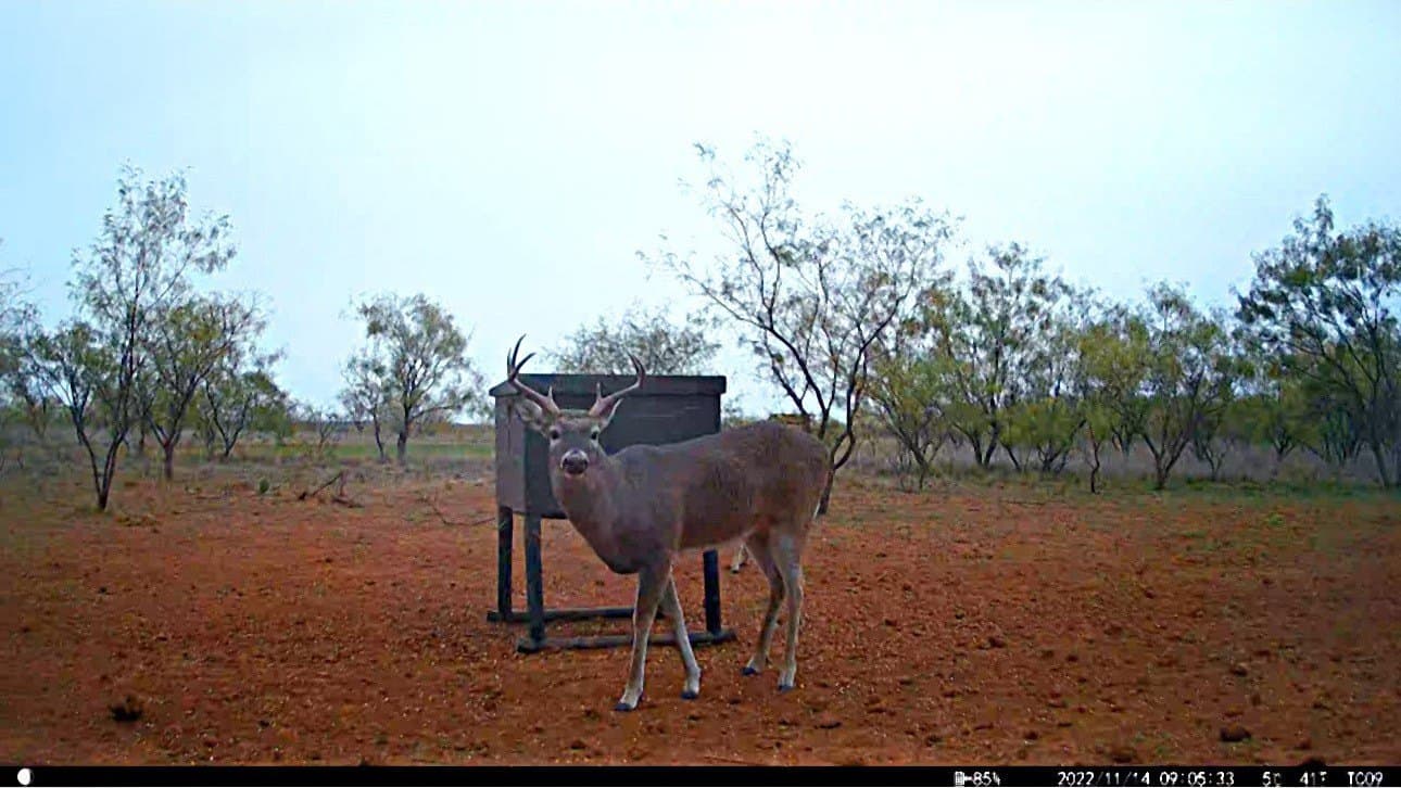 19.45 acres in Jones County - photo 10