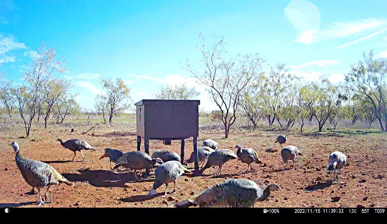 19.45 acres in Jones County - photo 17
