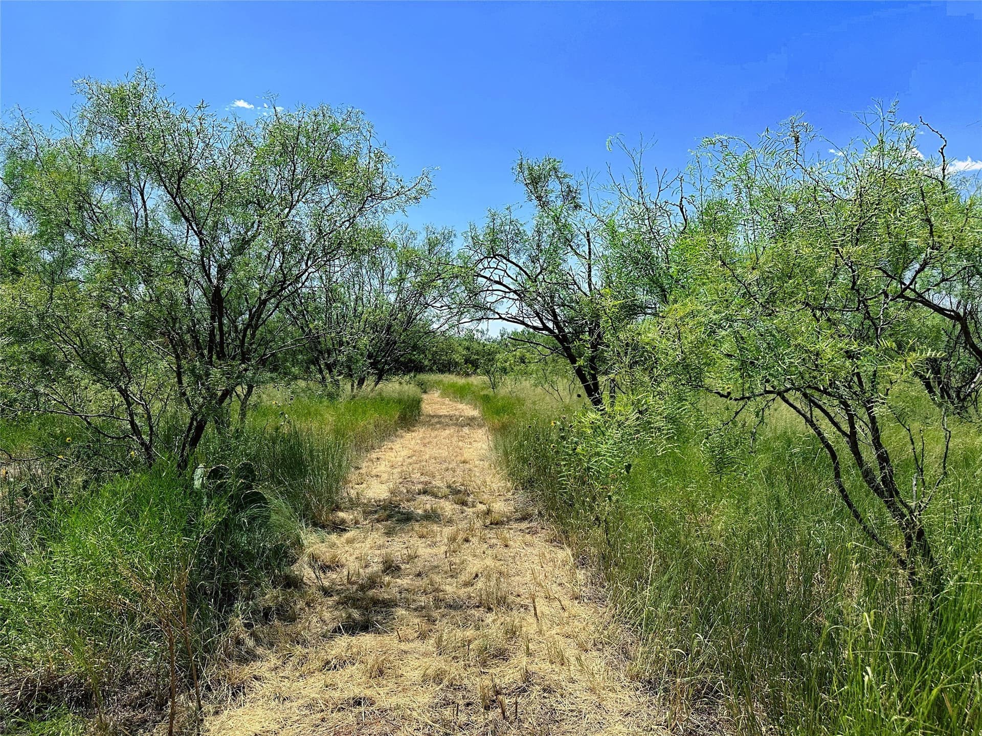 19.45 acres in Jones County - photo 21