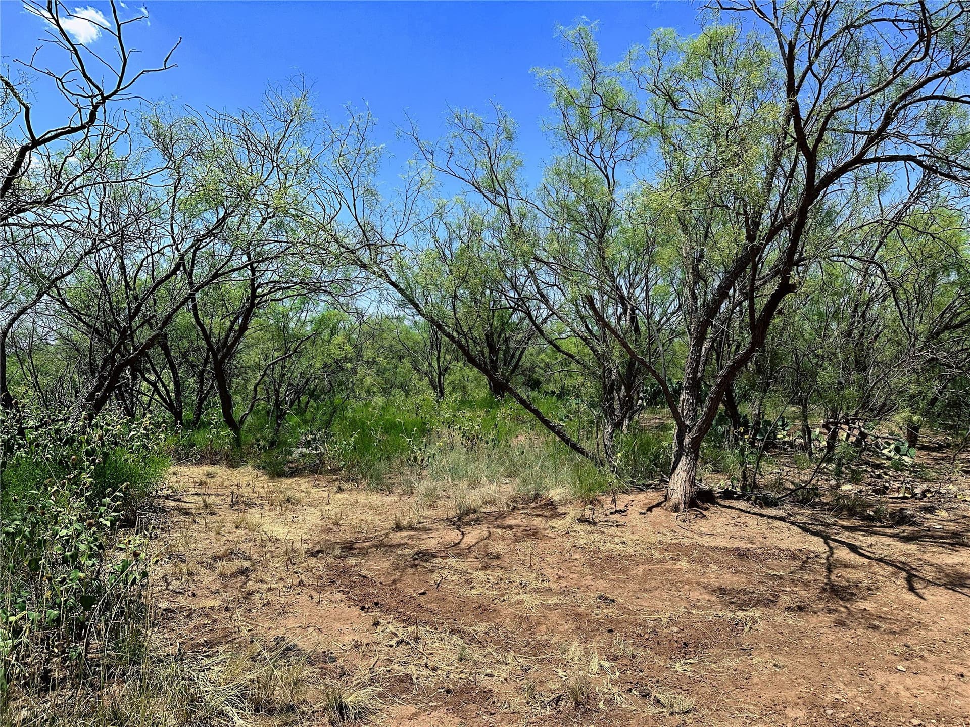 19.45 acres in Jones County - photo 3
