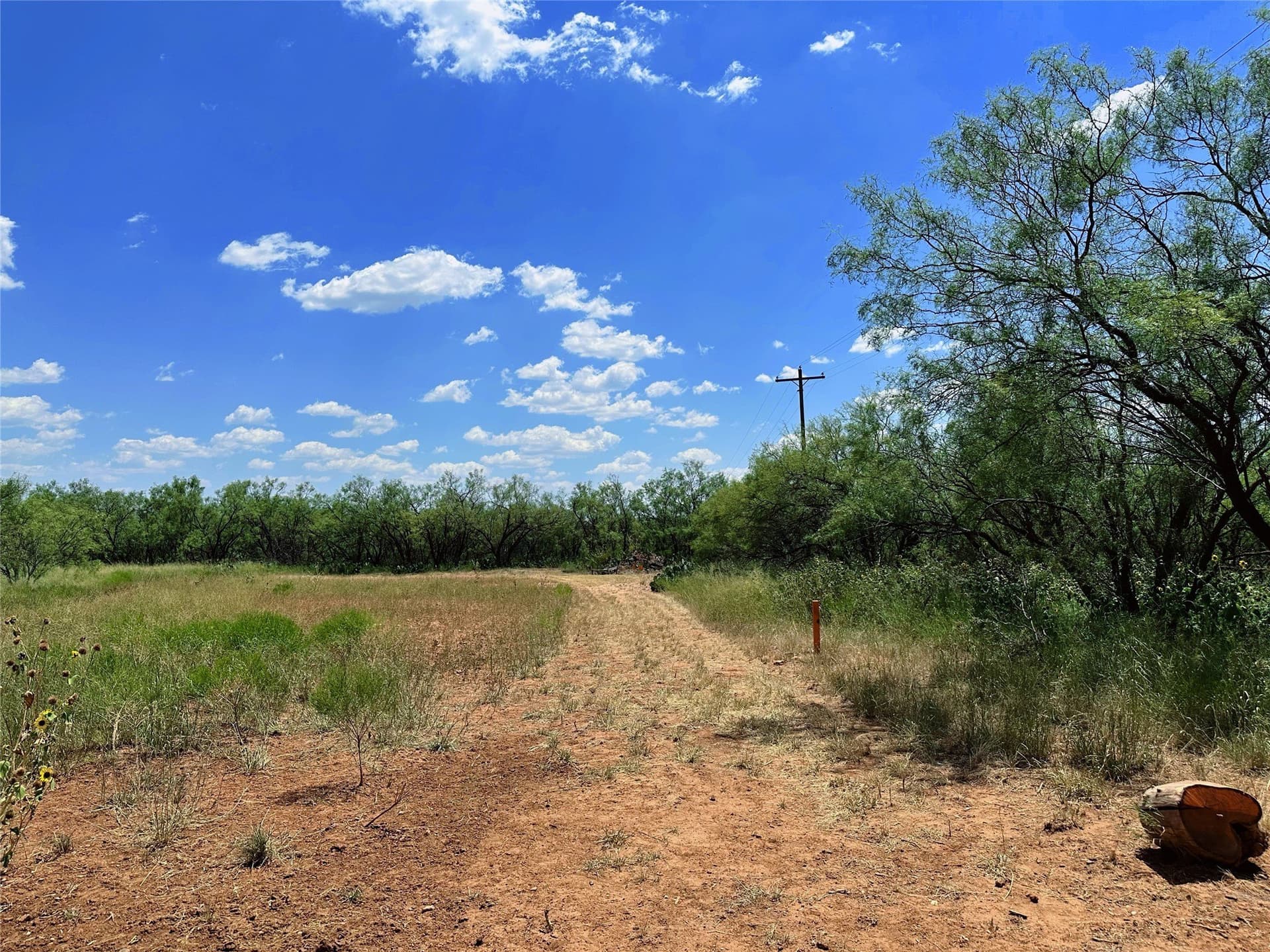 19.45 acres in Jones County - photo 23