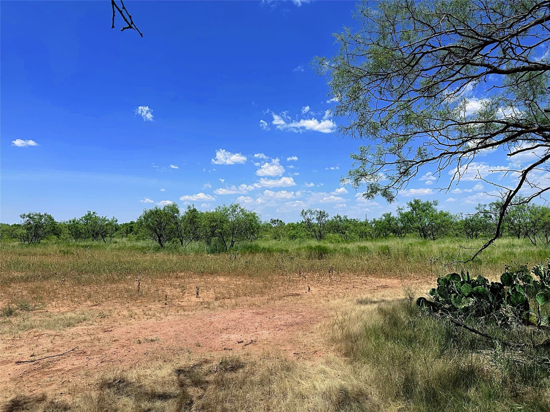 19.45 acres in Jones County - photo 4