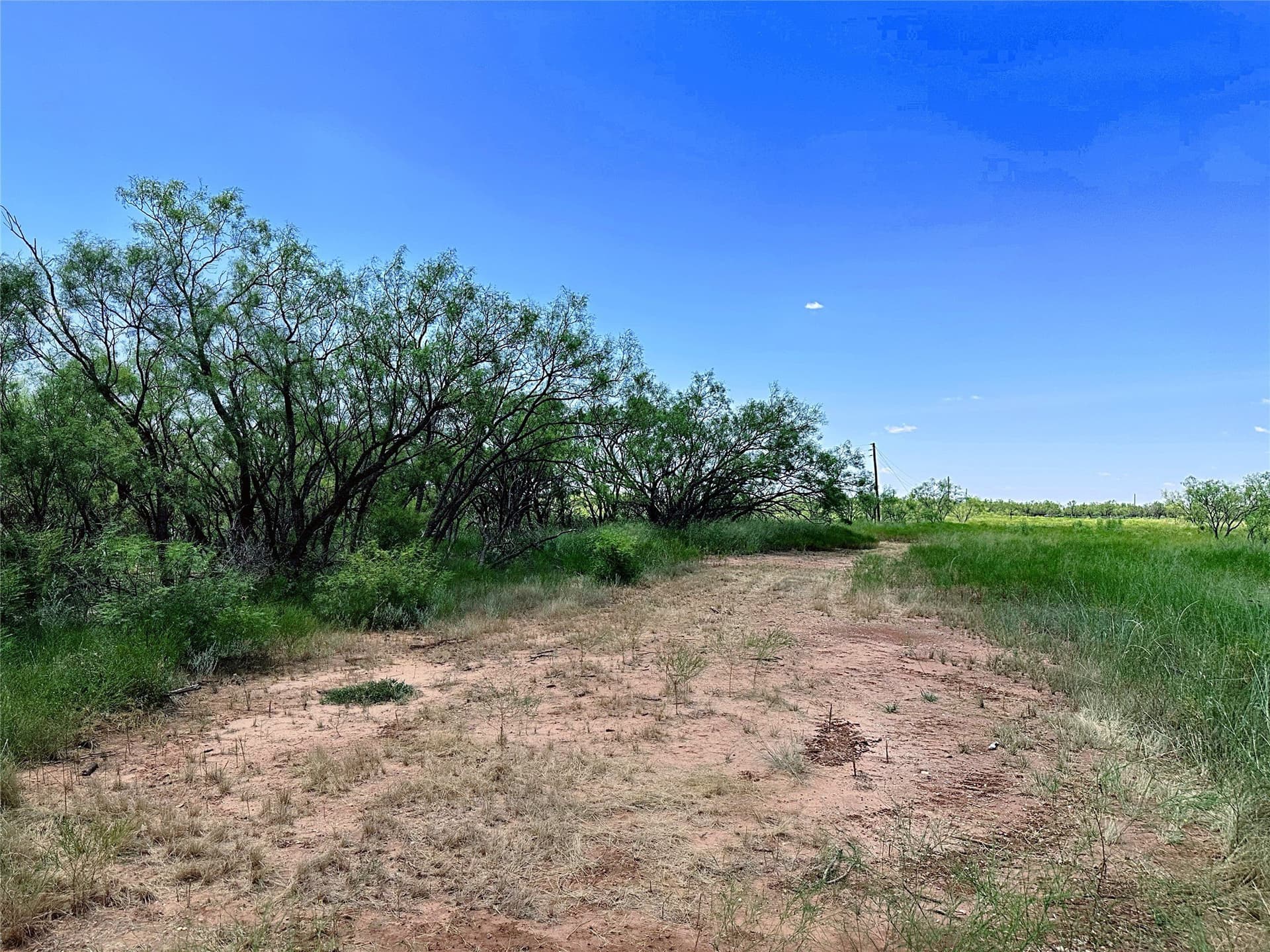19.45 acres in Jones County - photo 22