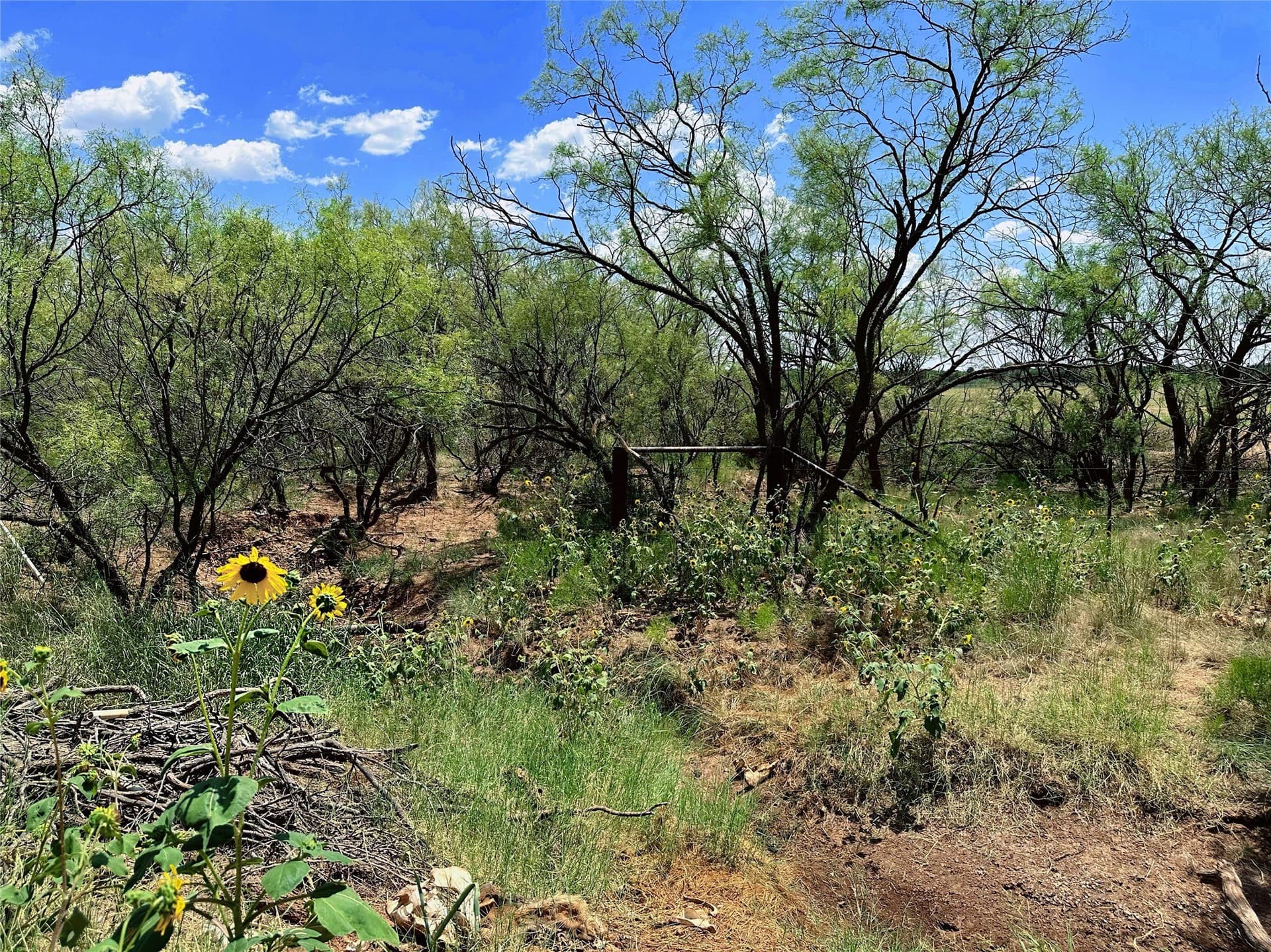 19.45 acres in Jones County - photo 6