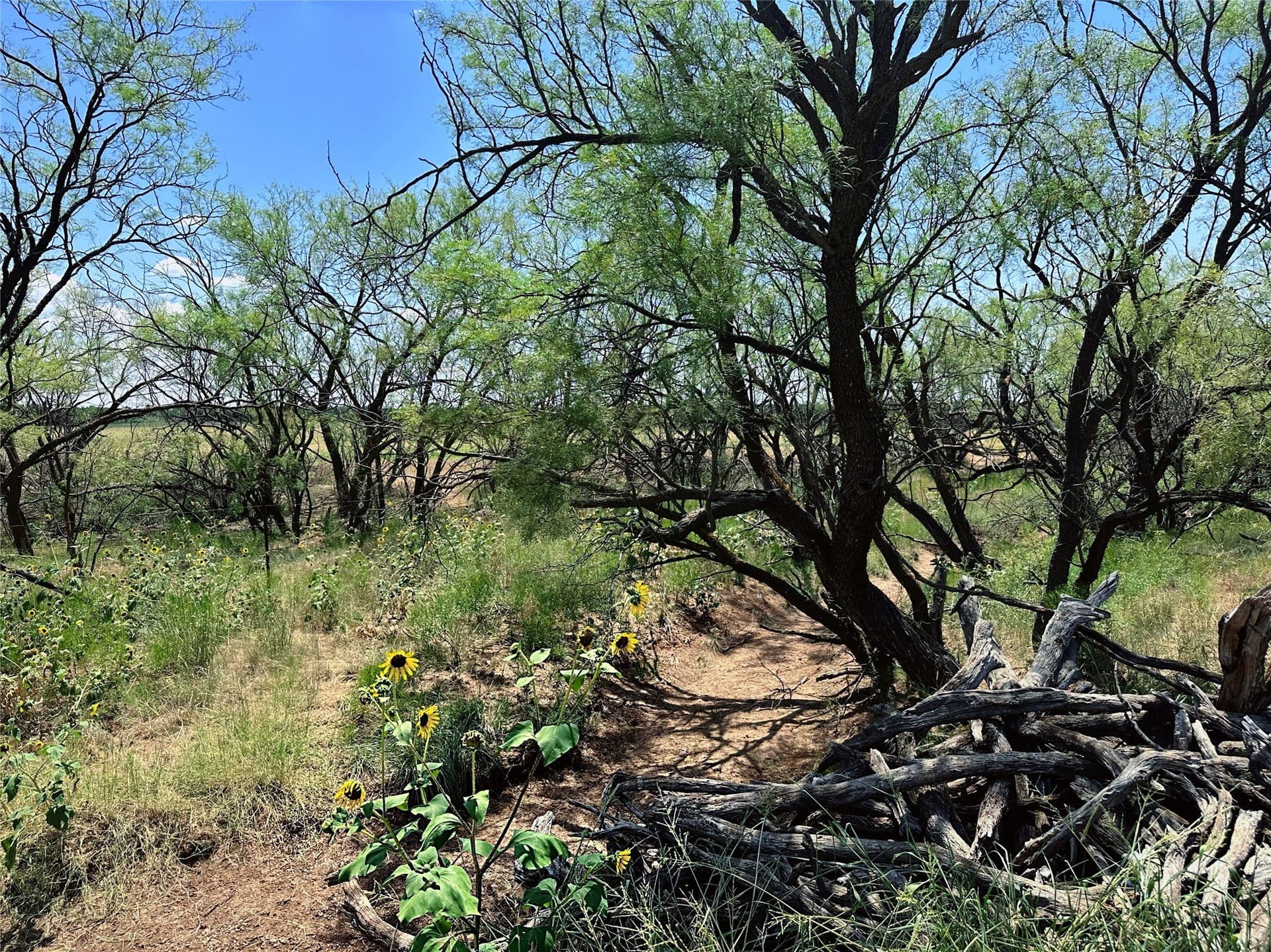 19.45 acres in Jones County - photo 8