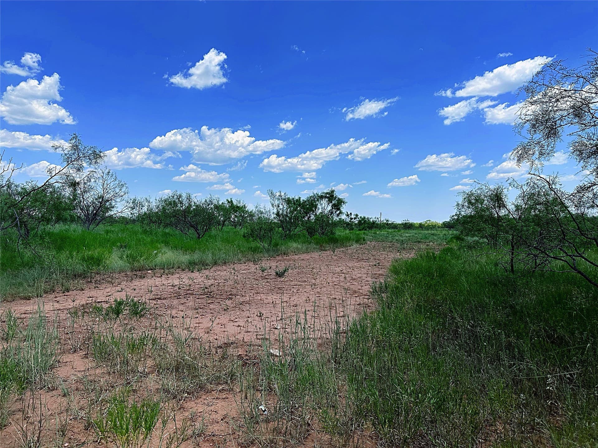 19.45 acres in Jones County - photo 24