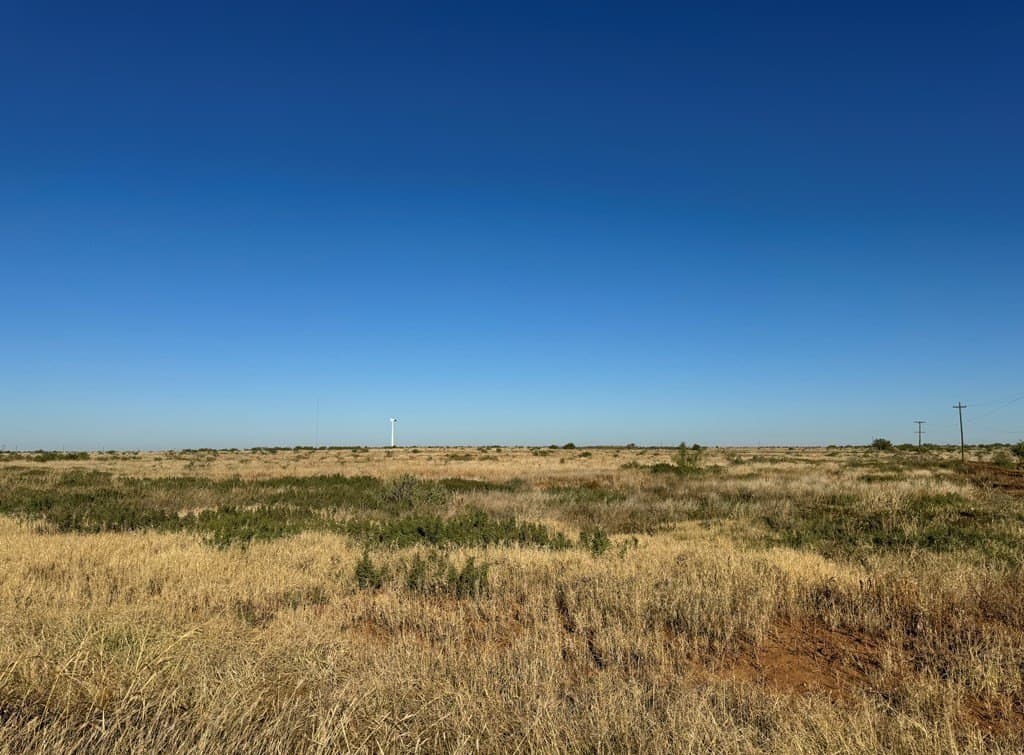 160 acres in Mitchell County gallery image 3