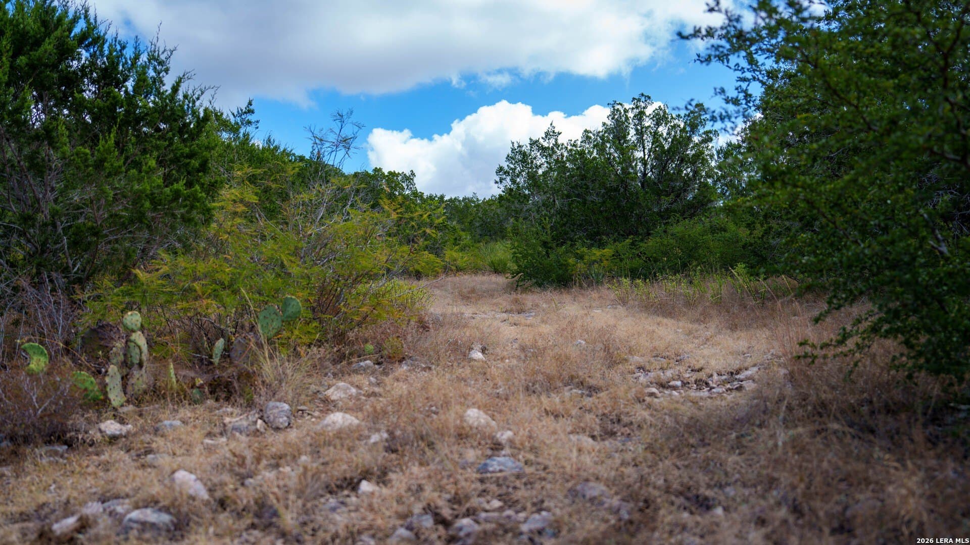 136.29 acres in Uvalde County - photo 22