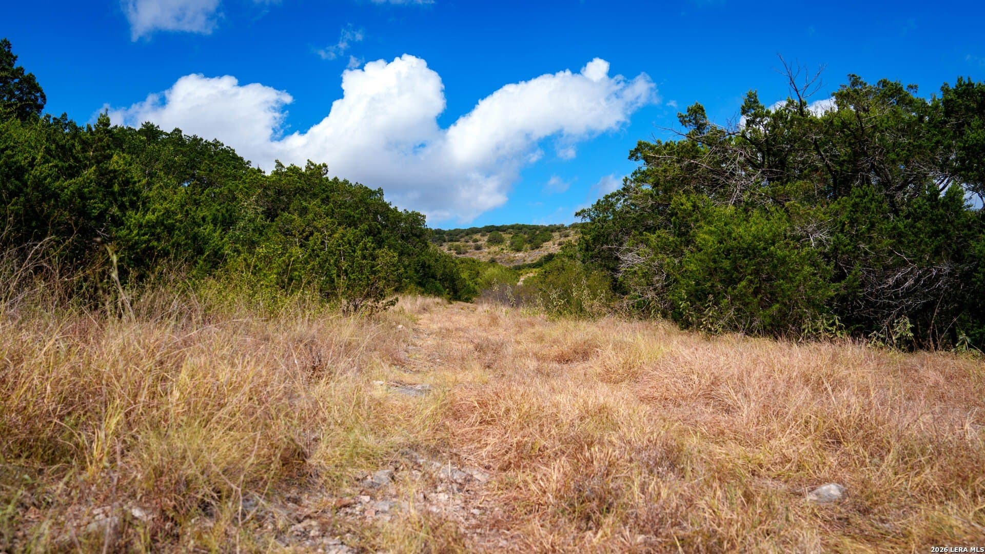 136.29 acres in Uvalde County - photo 16