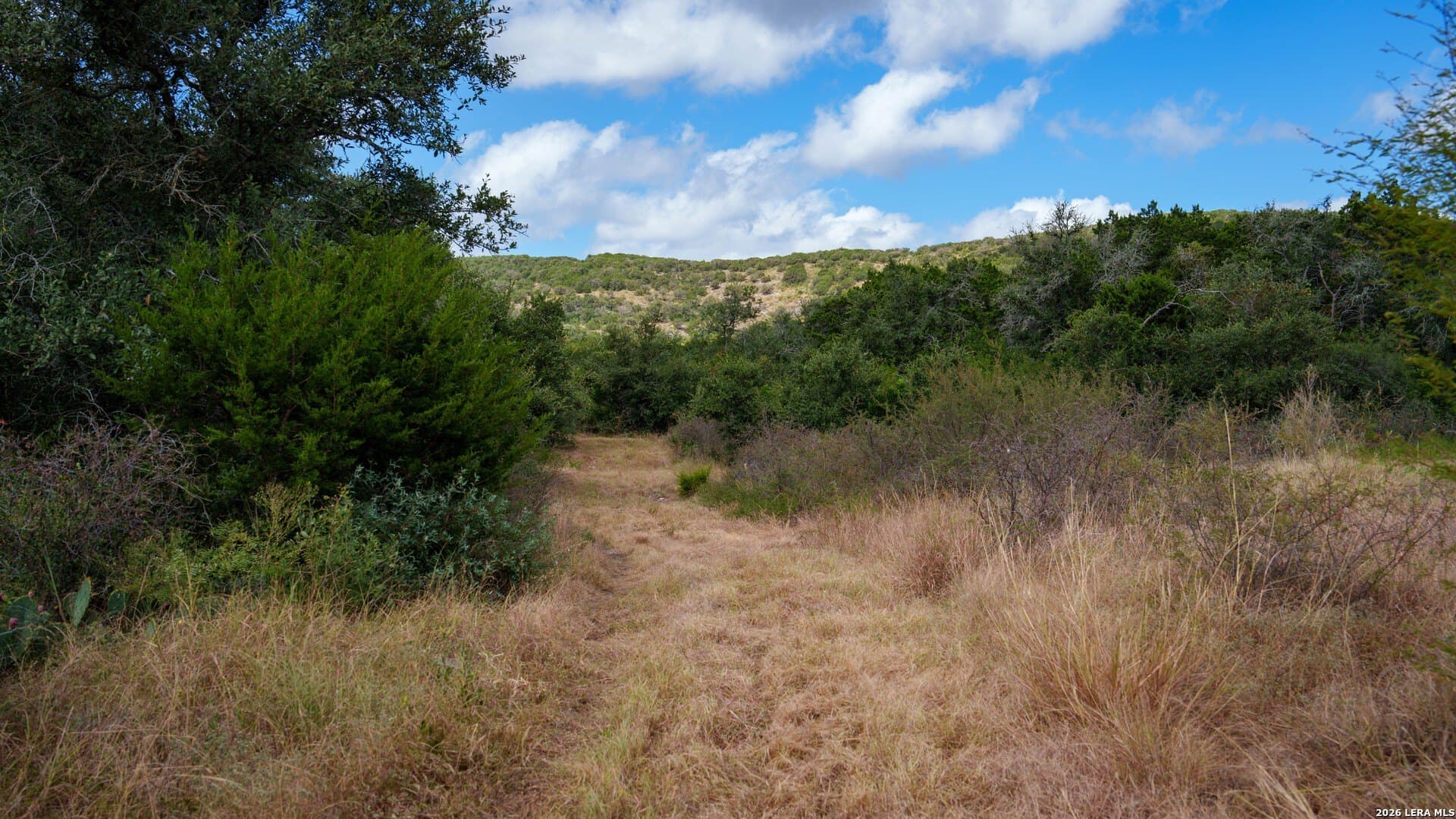 136.29 acres in Uvalde County - photo 28