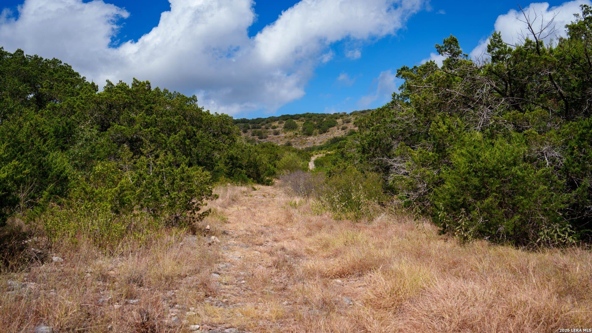 136.29 acres in Uvalde County - photo 25