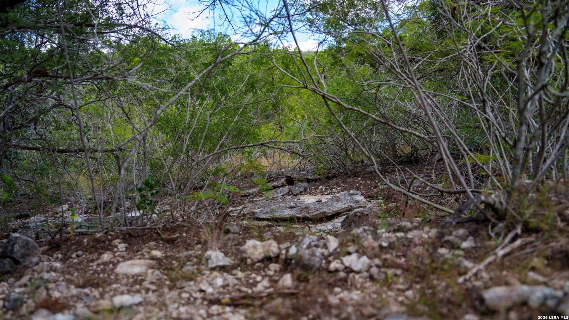 136.29 acres in Uvalde County - photo 21