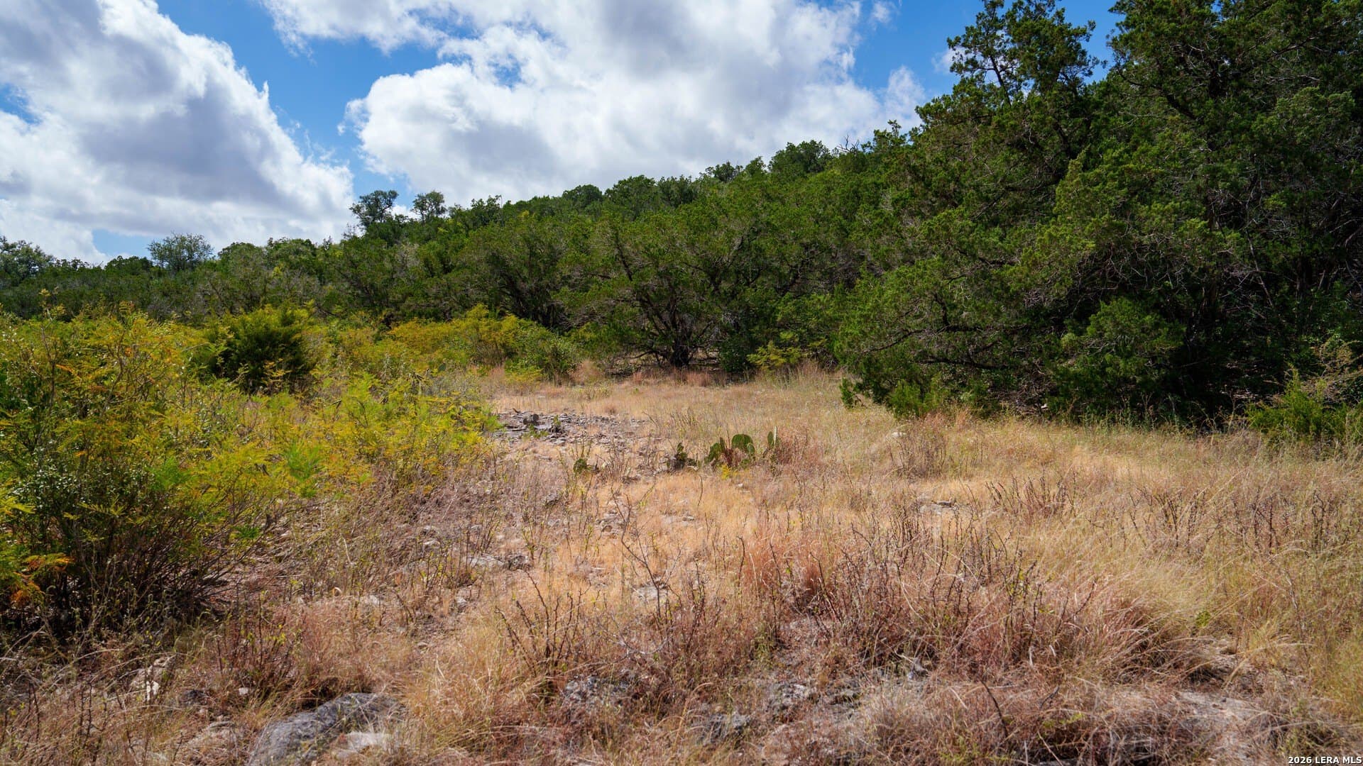136.29 acres in Uvalde County - photo 26