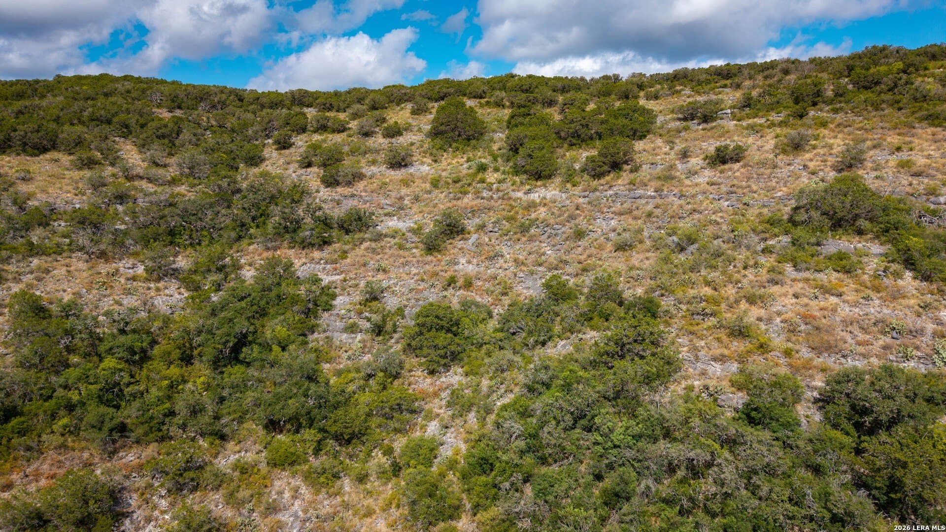 136.29 acres in Uvalde County - photo 13