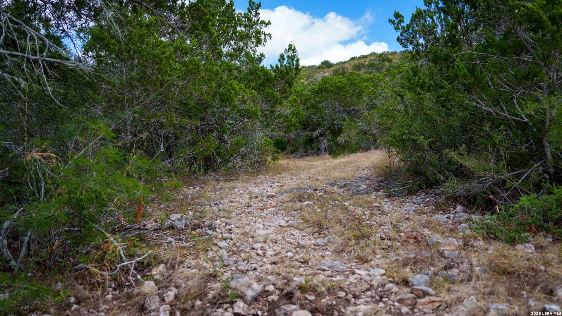 136.29 acres in Uvalde County - photo 23