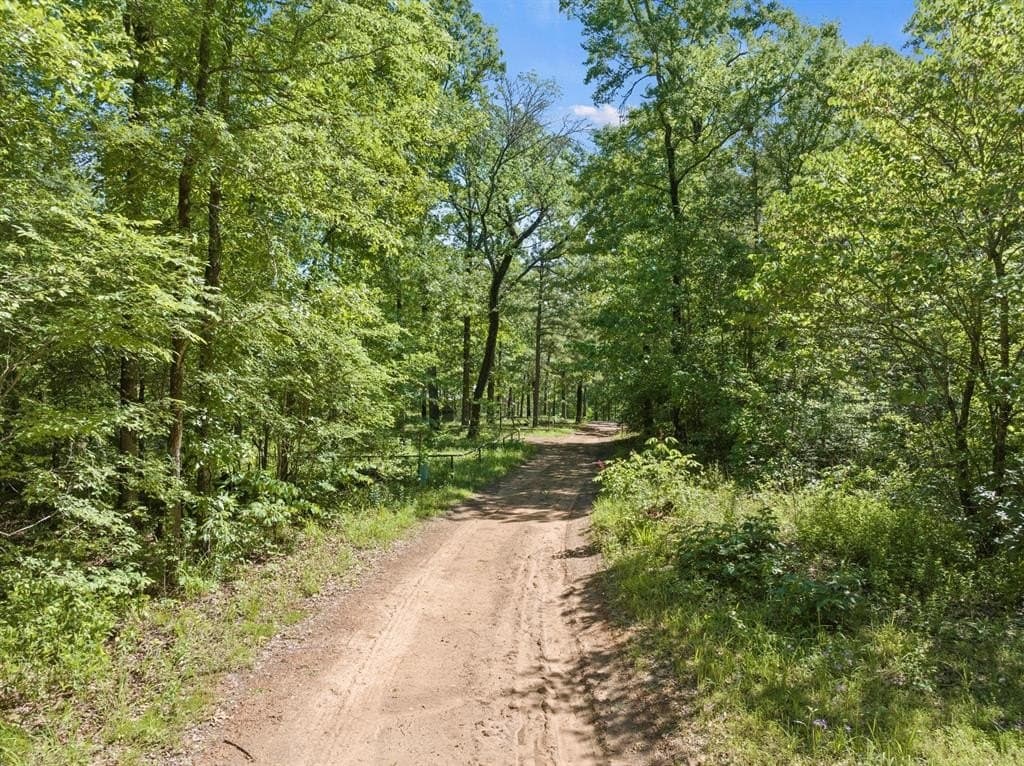 10.39 acres in Cass County gallery image 3