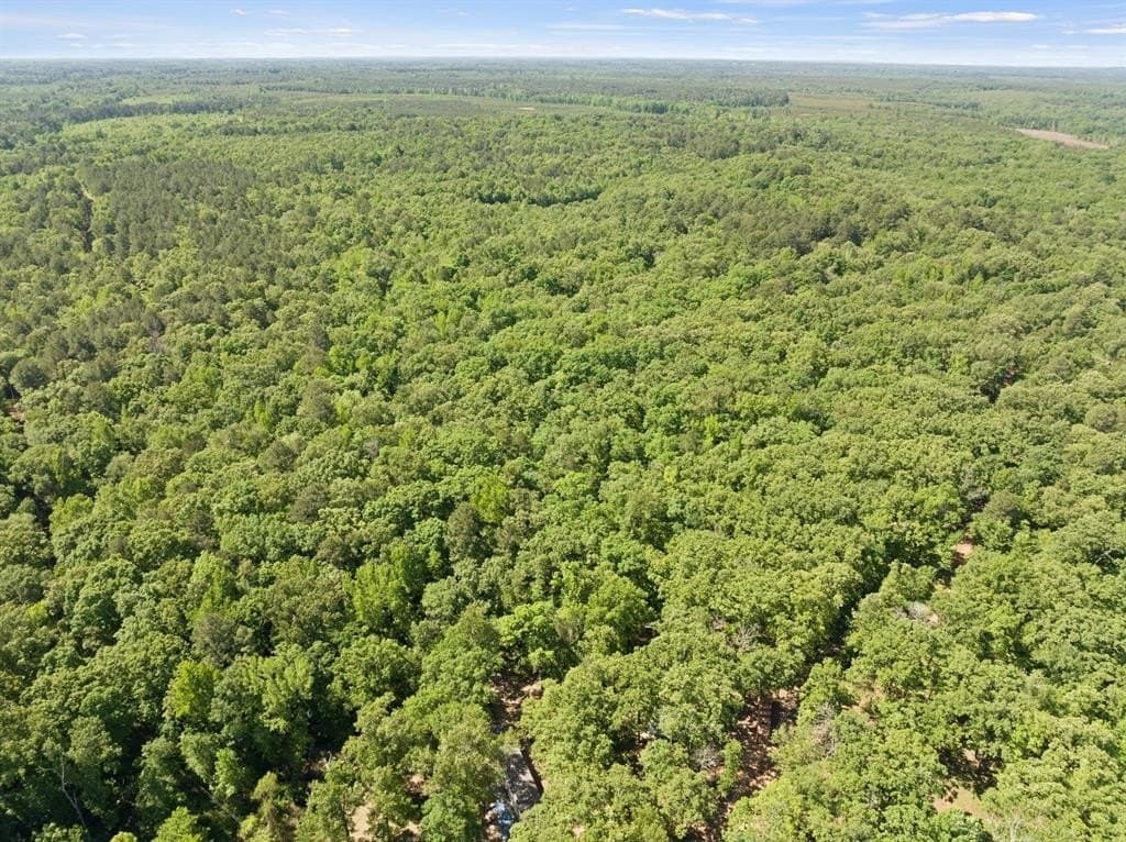 10.39 acres in Cass County gallery image 4