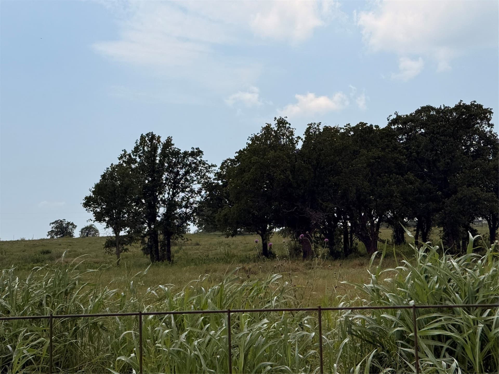 47.43 acres in Montague County - photo 38