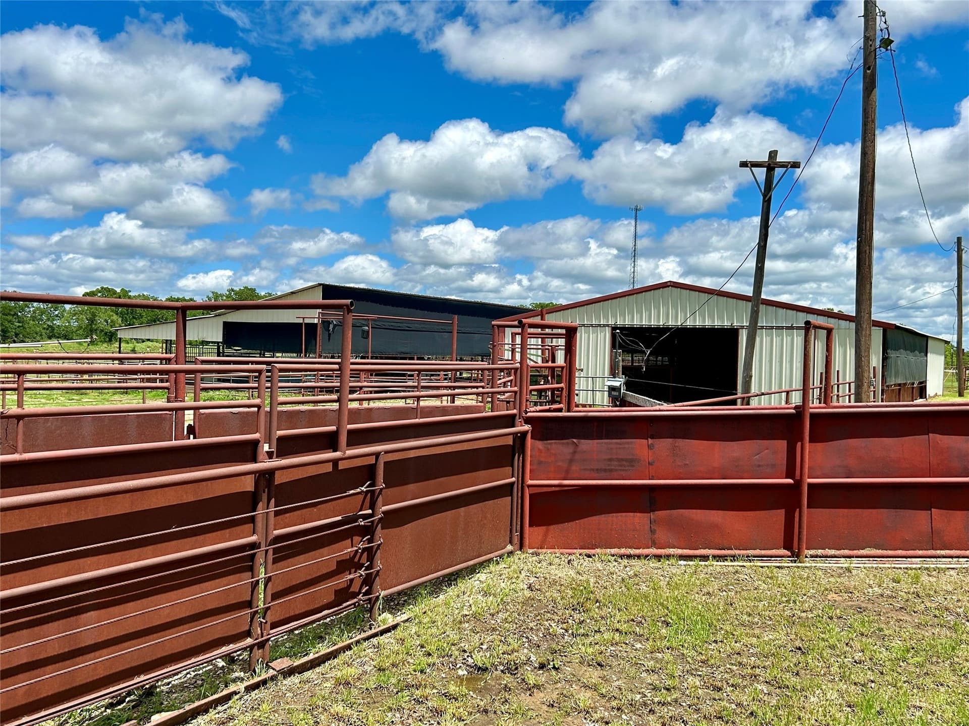 47.43 acres in Montague County - photo 11