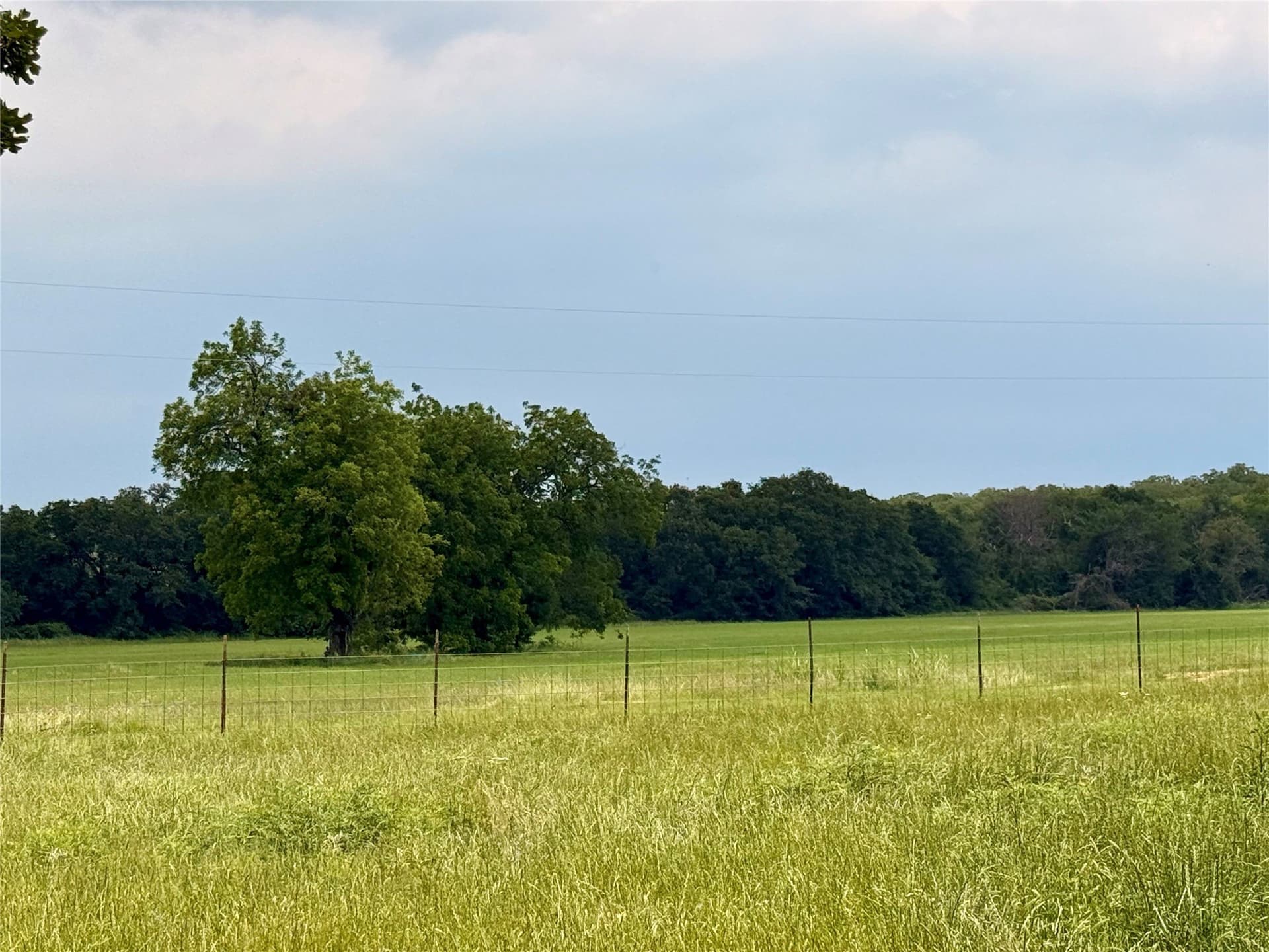 47.43 acres in Montague County - photo 34