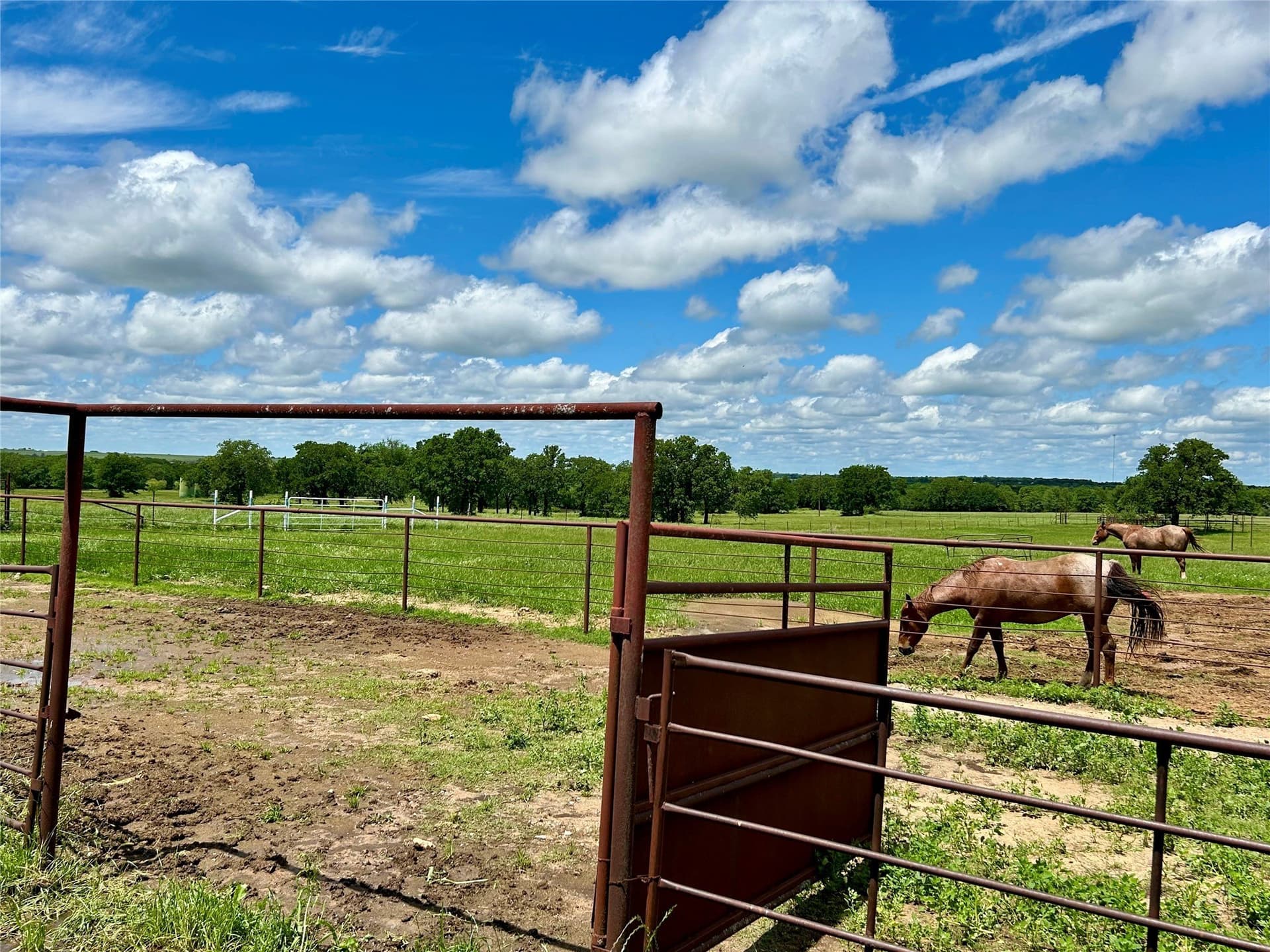 47.43 acres in Montague County - photo 30