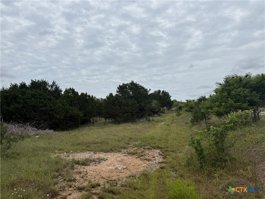 30 acres in Bell County - photo 30